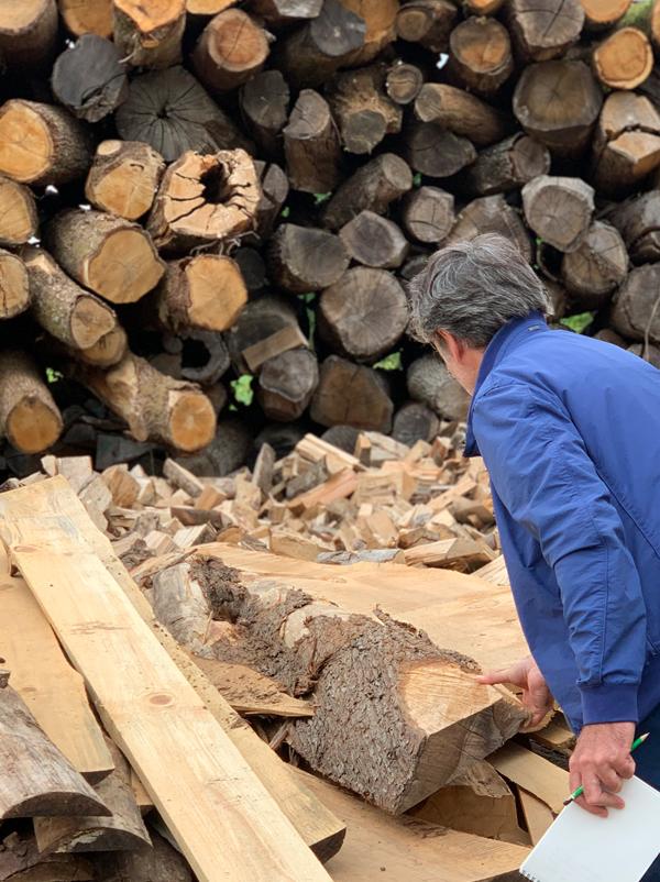 Jérôme Barrier cherche une planche de bois pour réaliser des étagères dans la scierie de Josse située sur les hauteurs du portillon à Vertou. C'est ici que l'on trouvera de beaux troncs de chênes, châtaigniers, Douglas pour vos prochains projets.